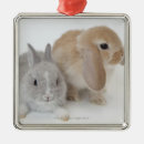 Suche nach zwerge ornamente Niedlich