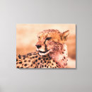Suche nach jaguar leinwandbilder Natur
