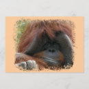 Suche nach orang utan einladungen Für alle