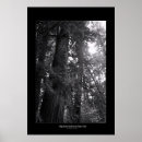 Suche nach redwood poster Forest