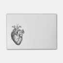Suche nach anatomie post it Herz