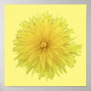 Suche nach transparente poster Blume