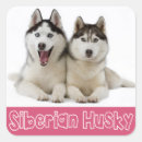 Suche nach siberian husky aufkleber Huskraut