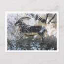 Suche nach gämse postkarten Ziege