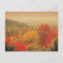Suche nach herbstlandschaft postkarten Wald