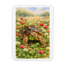 Suche nach schildkröten magnete Landschildkröte