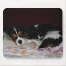 Suche nach spaniel mousepads Unbekümmerter könig charles spaniel