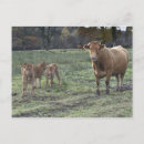 Suche nach limousin postkarten Landschaft