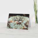 Suche nach robust karten Grün