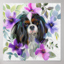 Suche nach cavalier king charles spaniel poster Pet