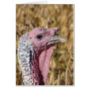Suche nach turkey karten Geflügel