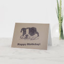 Suche nach boston terrier geburtstag karten Hund