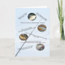 Suche nach angler fisch karten Jede person