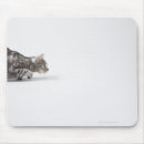 Suche nach konzentration mousepads Natur