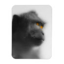 Suche nach zootiere magnete Dschungeltiere