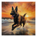 Suche nach sun poster Strand