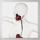 Suche nach verdauungssystem poster Detail