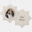 Suche nach coonhound ornamente Haustier