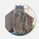 Suche nach uhu magnete Eule