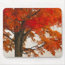 Suche nach virginia mousepads Herbst