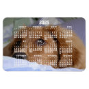 Suche nach goldene retriever magnete Niedlich