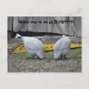 Suche nach richtungen postkarten Jede person