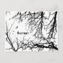 Suche nach nevermore postkarten Horror