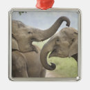 Suche nach indische elefanten ornamente Fauna