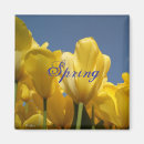 Suche nach quelle magnete Himmel