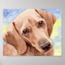 Suche nach dackeln poster Tiere