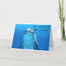 Suche nach delphin karten Für ihn