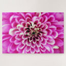 Suche nach chrysantheme puzzle Blume