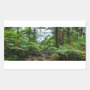 Suche nach regenwald aufkleber Für kinder