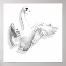 Suche nach swan poster Flügel