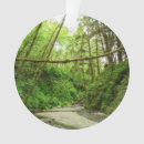 Suche nach farn ornamente Für alle