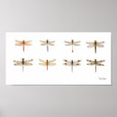 Suche nach spezies poster Natur