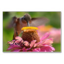 Suche nach vögel tischkarten Kolibri