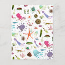 Suche nach meereswelt postkarten Muschel