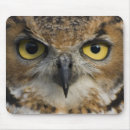 Suche nach eulen foto mousepads Jede person