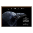 Suche nach crow poster Tiere