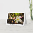 Suche nach knospen karten Rosa