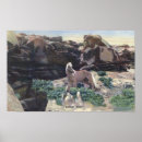 Suche nach palomino poster Hengst