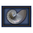 Suche nach nautilus muschel postkarten Blau