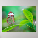 Suche nach und gr poster Natur