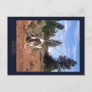 Suche nach tipi postkarten Teepee