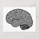 Suche nach neurologie postkarten Physiologie
