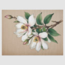 Suche nach magnolienblüte Jede person