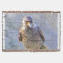 Suche nach esel decken Natur