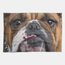 Suche nach english geschirr tücher Englischer bulldog