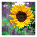 Suche nach regnerischer tag poster Natur